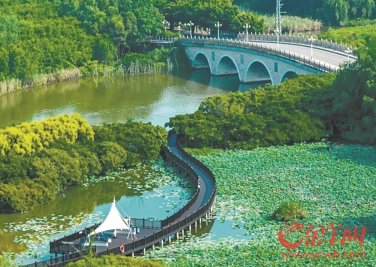 球盟会：千年IP重启！ 2025年“羊城八景”评选活动启动(图6)