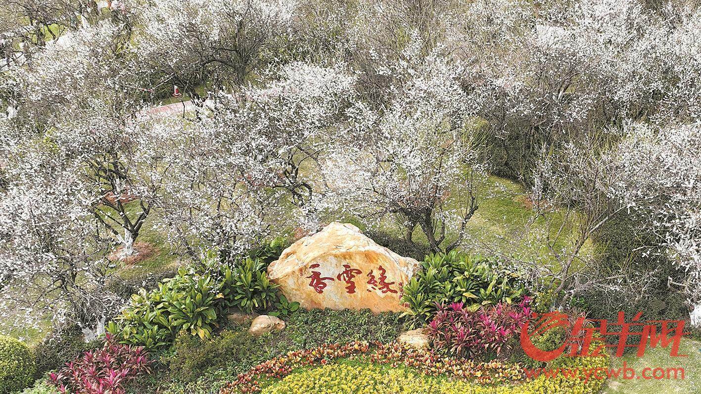 球盟会：千年IP重启！ 2025年“羊城八景”评选活动启动(图4)