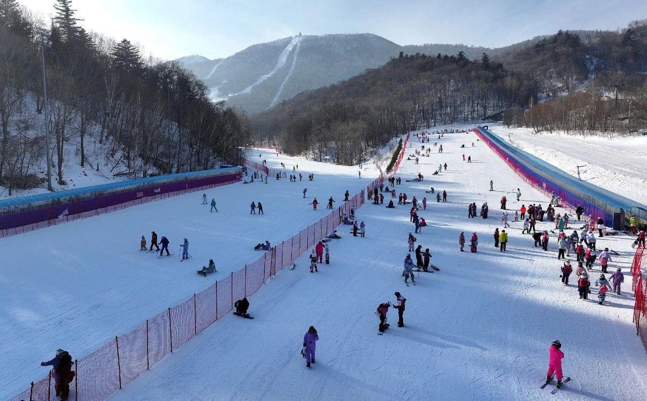 乘着“冬”风“尔滨20”来了(图5)