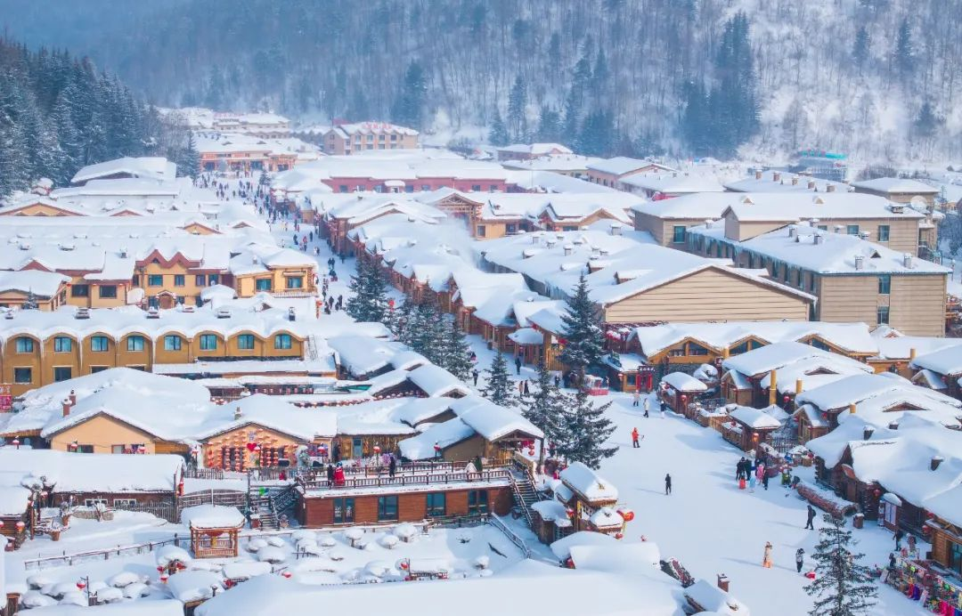 乘着“冬”风“尔滨20”来了(图7)