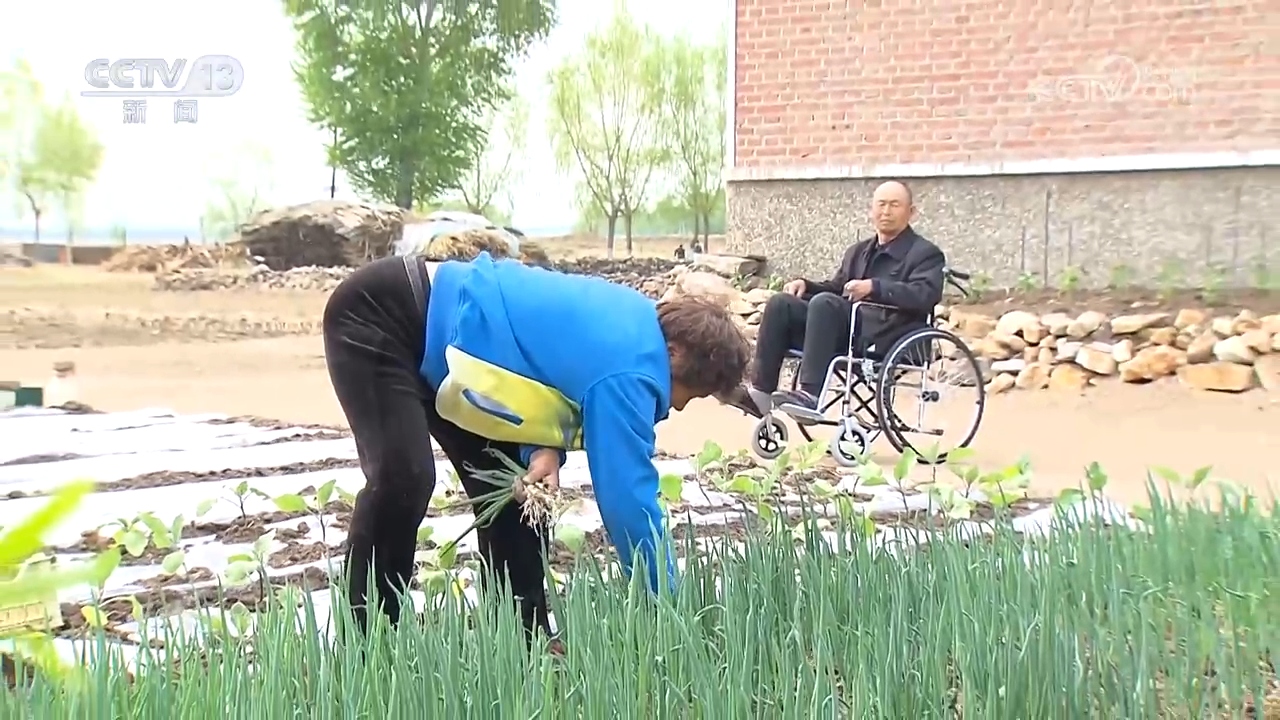 焦点访谈｜从自助到互助 残疾人群体这样书写精彩人生(图7)