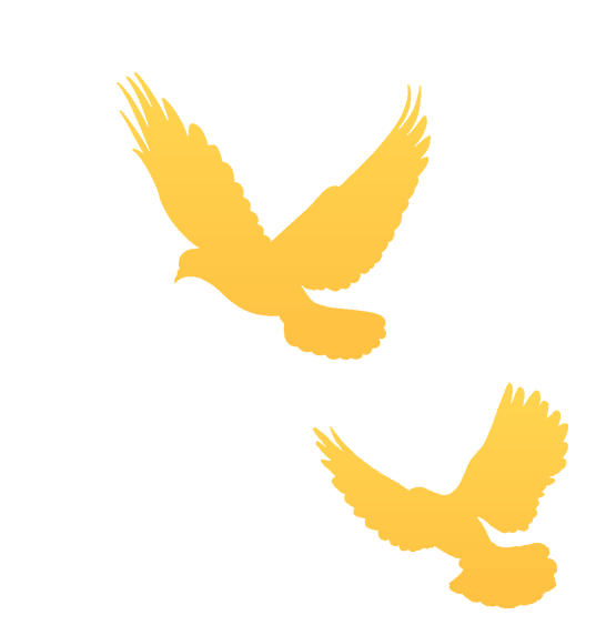 球盟会：巡礼“十四五” · 残疾人事业这五年 广东：高擎思想旗帜 领航事业发展(图1)