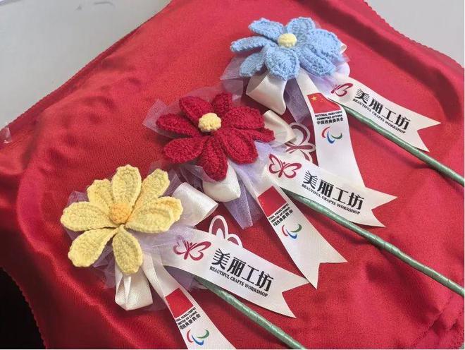 【残疾人体育】2025年硬地滚球世界杯北京站比赛开幕(图3)