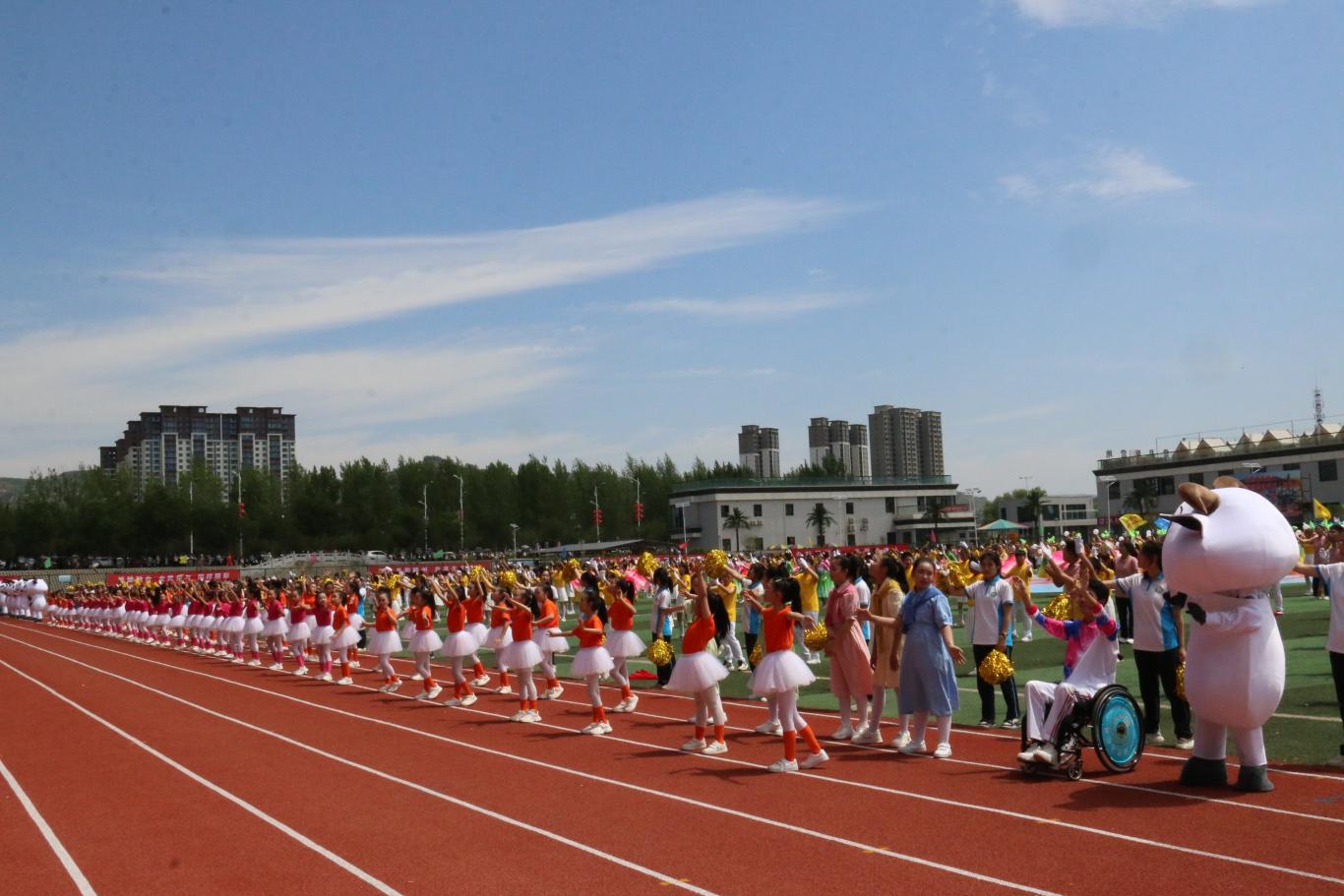 宝鸡市残疾人文化健身周暨陇县残疾人运动会开幕(图3)