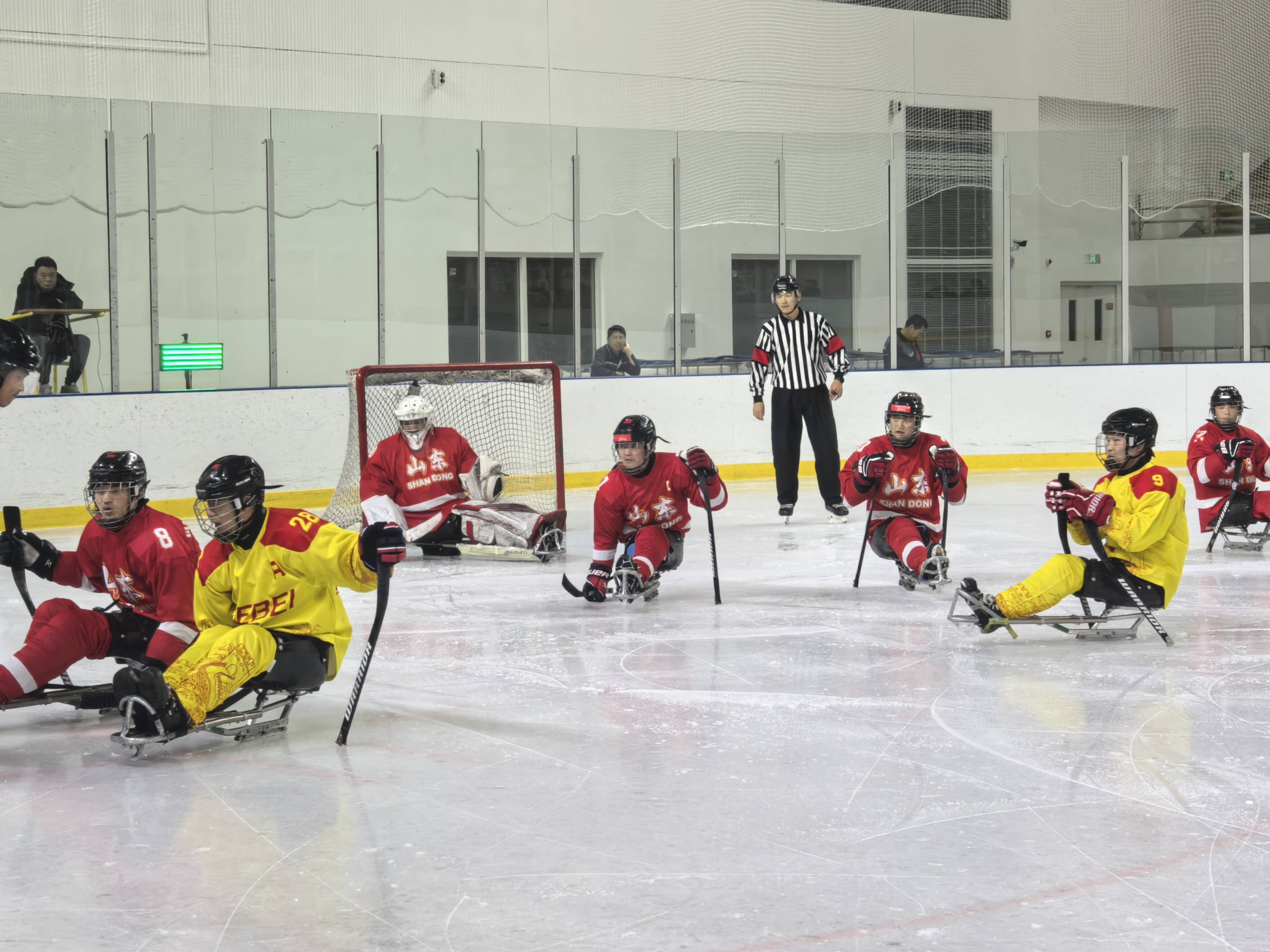 球盟会入口：山东队勇夺全国第十二届残运会残奥冰球项目金牌 实现三连冠(图2)