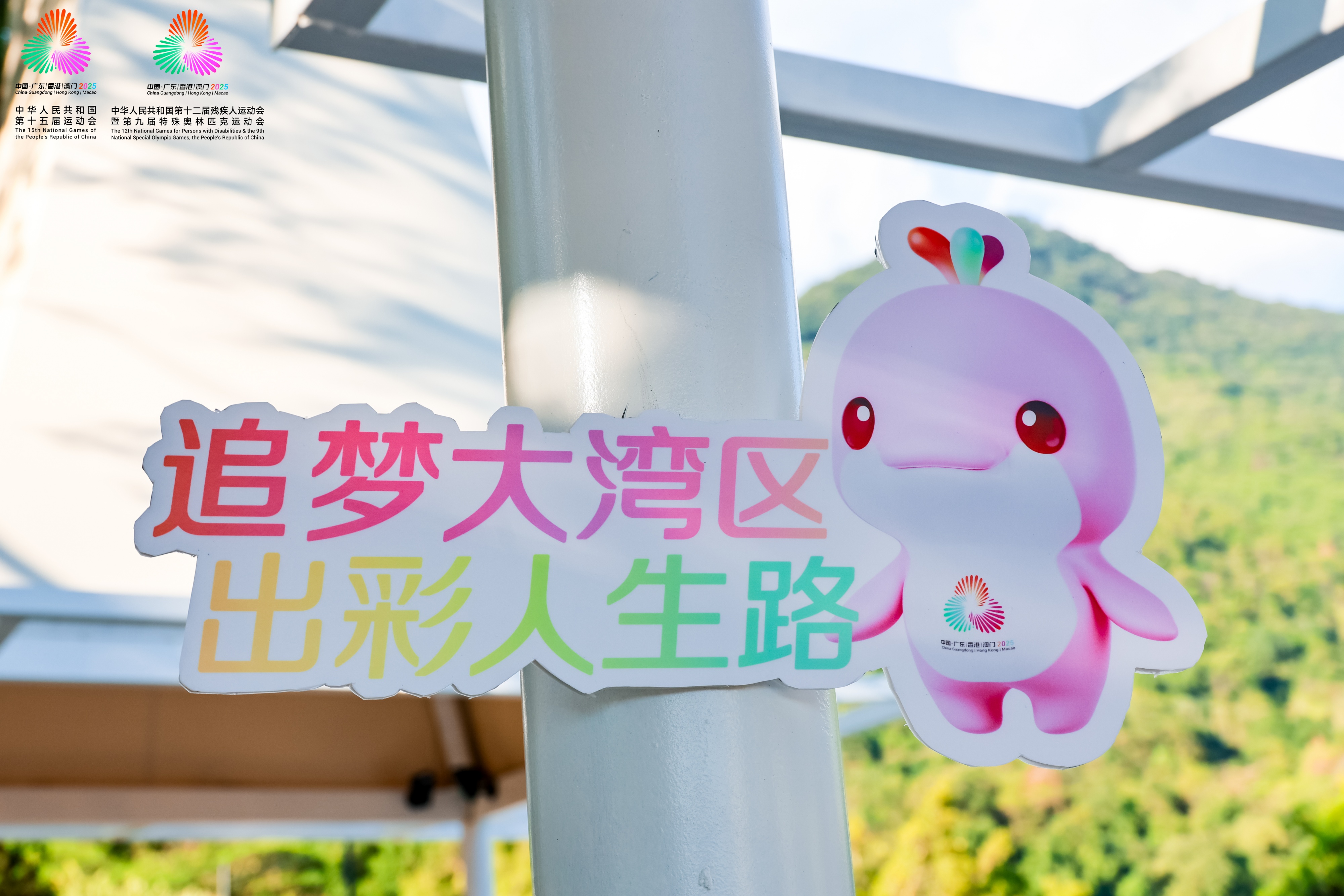 喜迎2025残特奥会文艺汇演在广州举行(图3)