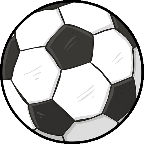 球盟会入口：全城瞩目！南安市第十二届运动会开幕！(图2)