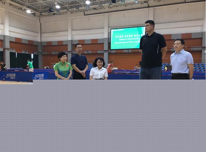 残疾人网球：勇敢追逐梦想的力量与魅力