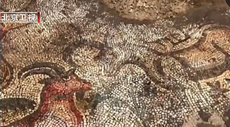 球盟会：【文体艺苑】张海迪获得国际残奥委会主席参选提名(图5)