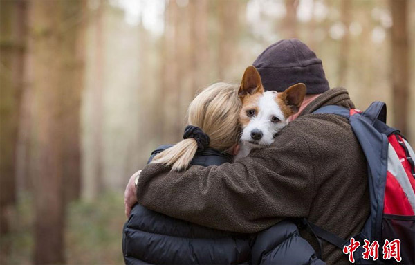 球盟会：【文体艺苑】张海迪获得国际残奥委会主席参选提名(图6)
