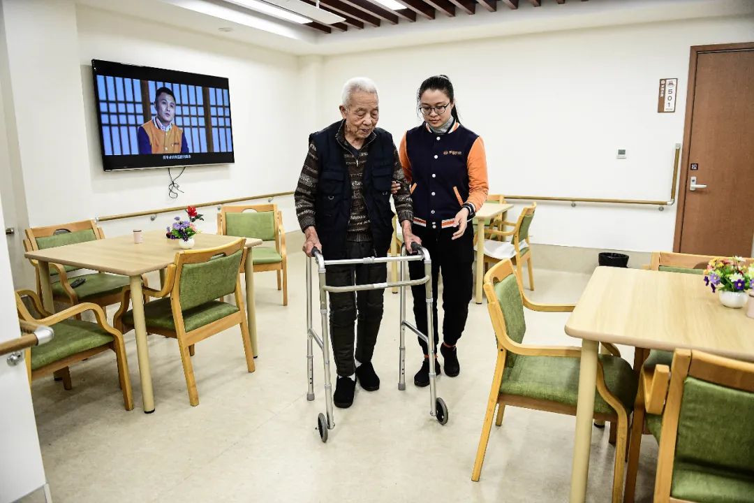 民生无小事 枝叶总关情