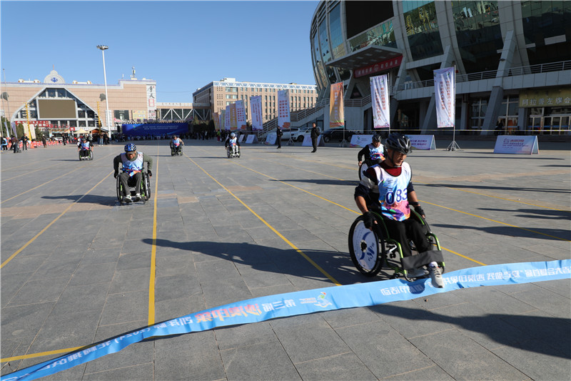 球盟会入口：刘海洋伤熊事件