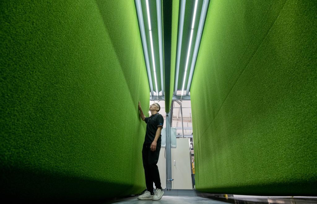 球盟会：习关切事丨中国体育逐梦正当时（下篇）(图8)