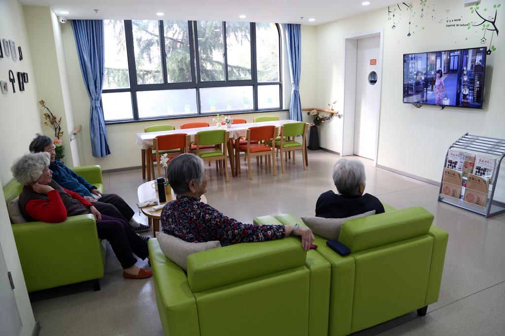 球盟会入口：冰雪盛会燃情大连！东北三省残疾人齐聚共赴冰雪运动之约！