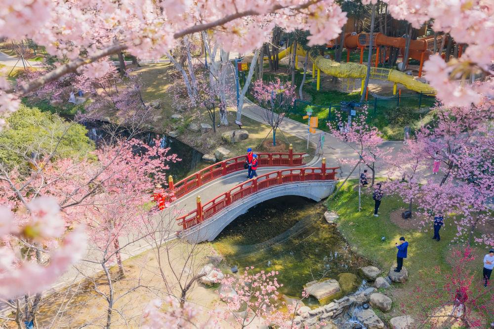 服务业如何高质量发展？提出新要求(图2)