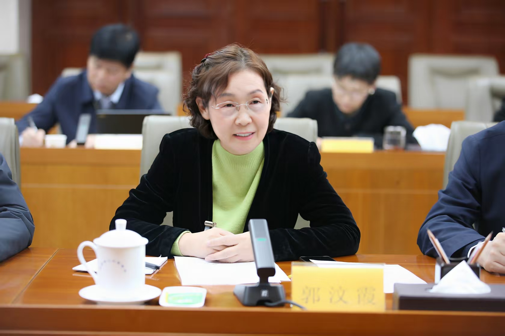 我建言完善农村高龄独居老人养老体系
